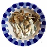 Champignons magiques Jack Frost Champignons magiques Jack Frost