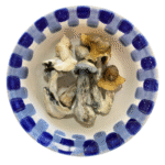 Champignons magiques Jack Frost Champignons magiques Jack Frost
